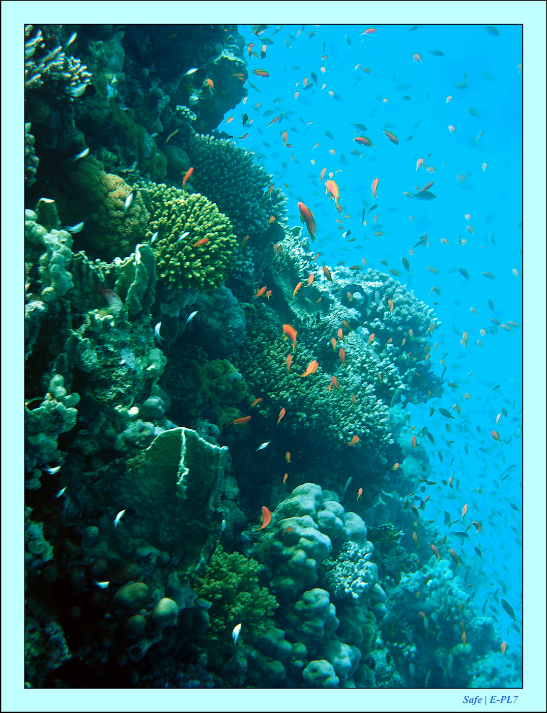 2023 - 03 - Charm El Sheikh - 34